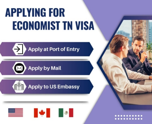 application process for economist TN Visa