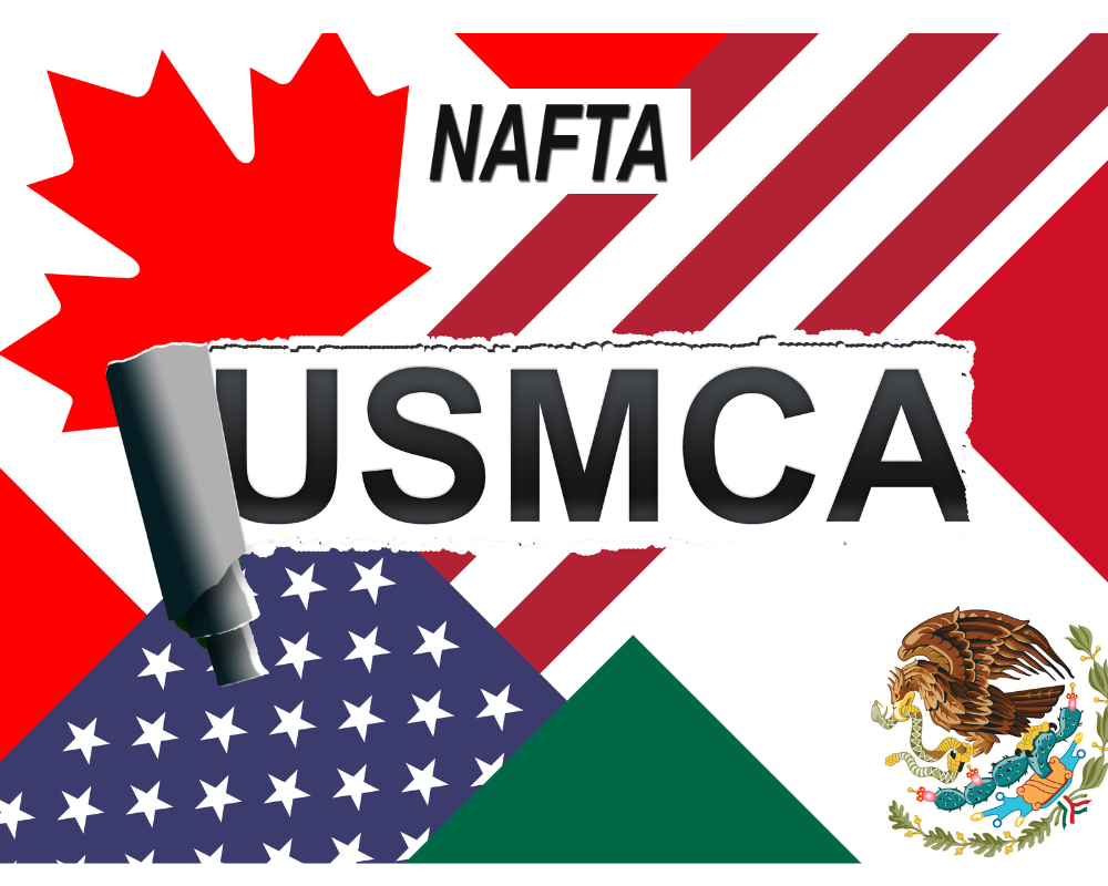 Navigating the TN Visa Transfer Process for New Employers TNVisaExpert