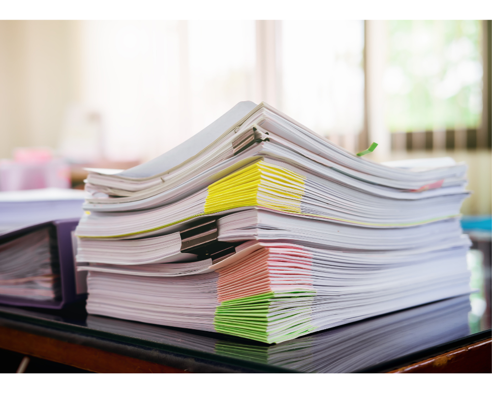 Navigating the TN Visa Transfer Process for New Employers TNVisaExpert