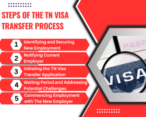 Steps of the TN Visa Transfer Process