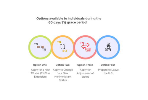 TN Visa Grace Period Options