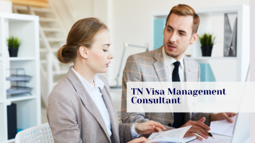 TN Visa for Management Consultant - TN Visa Expert