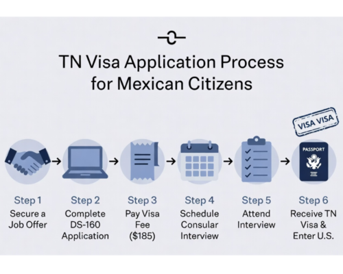 TN Visa Application Process for Mexican Citizens