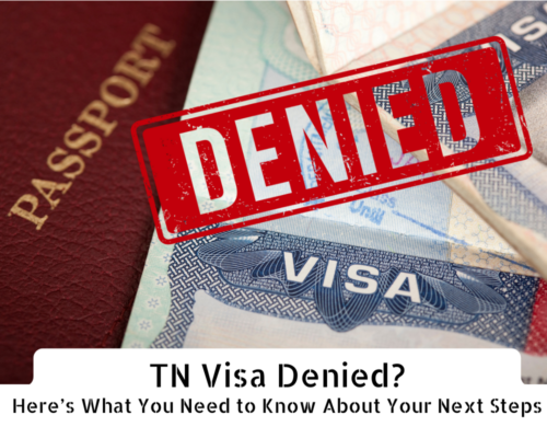 Passport with visa stamped 'DENIED' — TN Visa Denied? Here's What You Need to Know About Your Next Steps