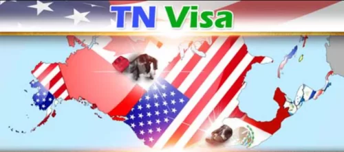 Tn Visa