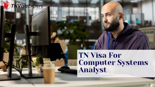 TN Visa For Computer Systems Analyst