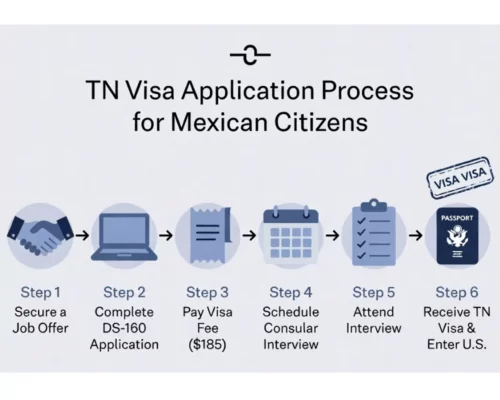 TN Visa Application Process for Mexican Citizens