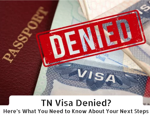Passport with visa stamped 'DENIED' — TN Visa Denied? Here's What You Need to Know About Your Next Steps