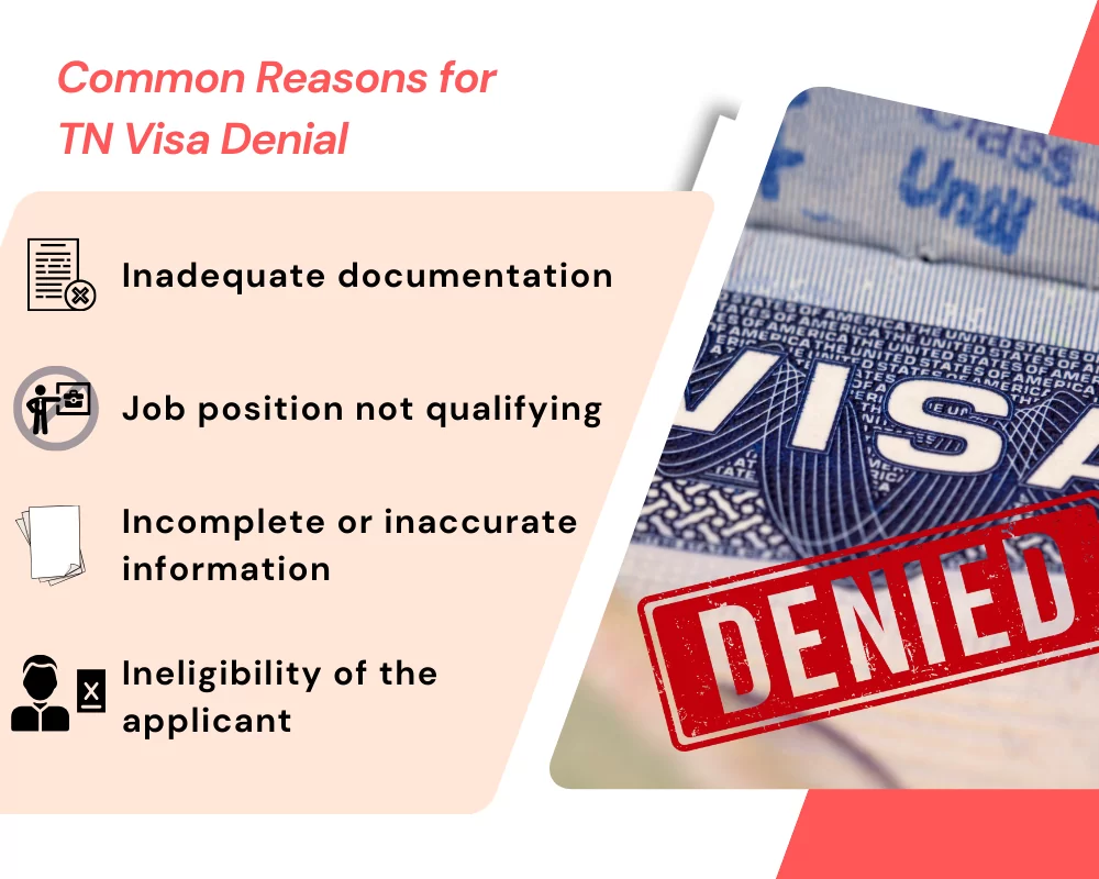 Infographic titled 'Common Reasons for TN Visa Denial' listing inadequate documentation, job position not qualifying, incomplete or inaccurate information, and ineligibility of the applicant, next to a visa stamped 'DENIED